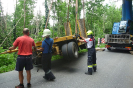 LKW Bergung 4.6.2018