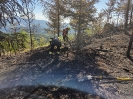 Waldbrand